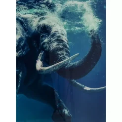 Bild Glas Swimming Elephant 180X120Cm