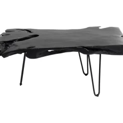 Couchtisch Aspen Schwarz 100X40