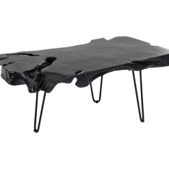 Couchtisch Aspen Schwarz 100X40