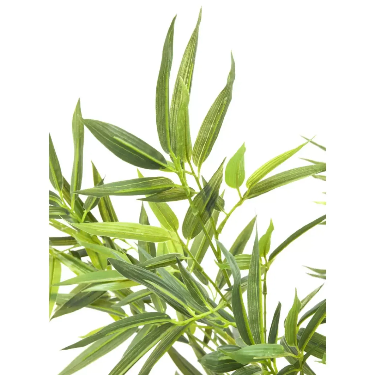 Deko Pflanze Bamboo Tree 200Cm