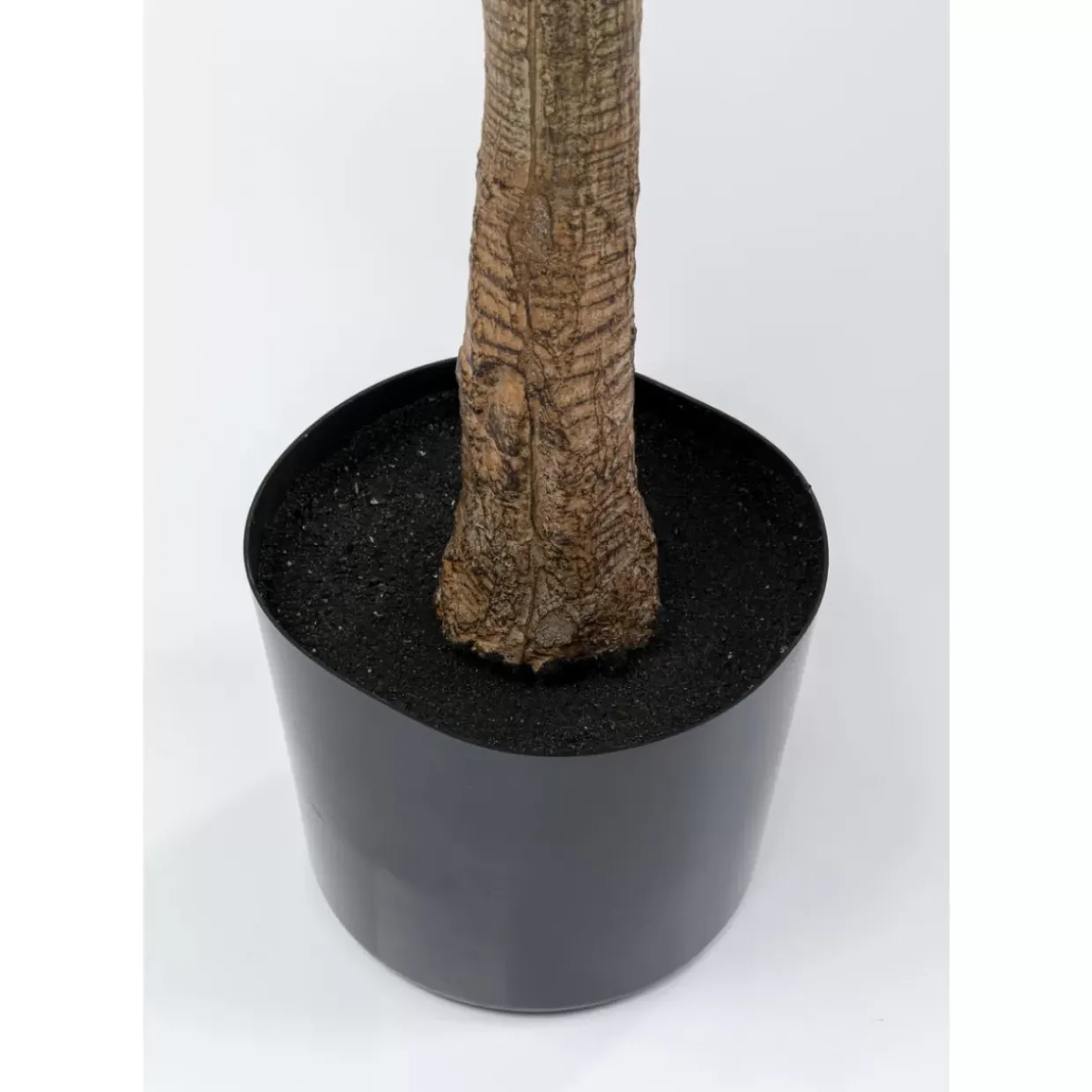 Deko Pflanze Dracaena Fragrans 180Cm