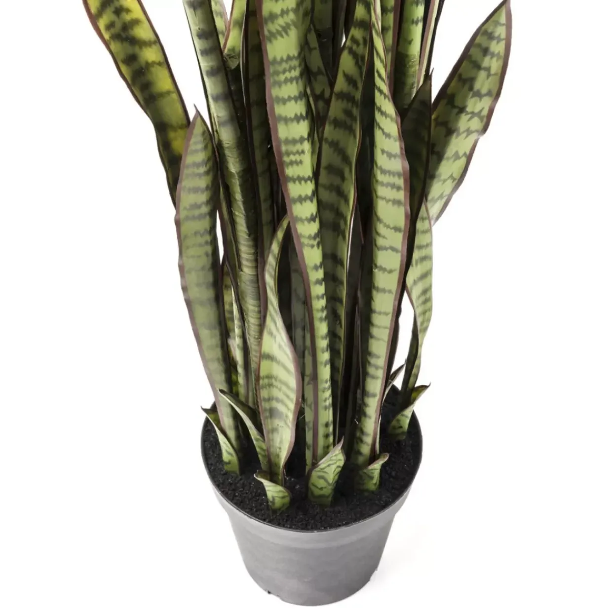 Deko Pflanze Sansewieria 155Cm