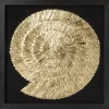 Deko Rahmen Golden Snail 120X120Cm