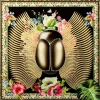 Glasbild Beetle Flower 100X100Cm