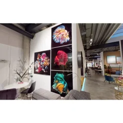 Glasbild Colorful Swarm Fish 120X120Cm