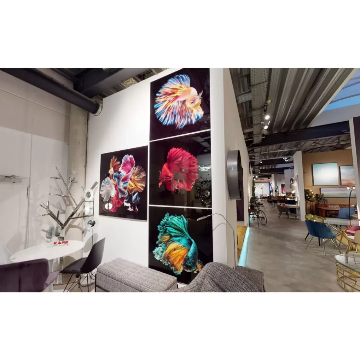 Glasbild Colorful Swarm Fish 120X120Cm