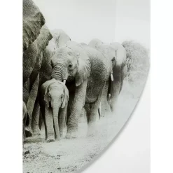 Glasbild Elephant Walk O120Cm