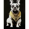 Glasbild Noble Dog 40X60Cm