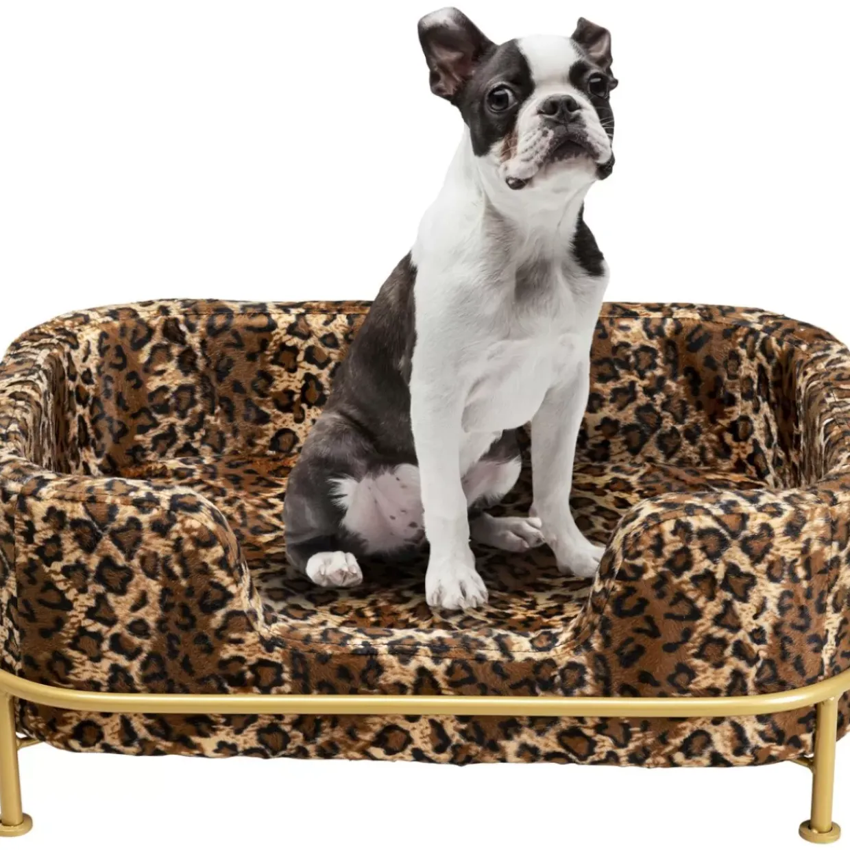 Hund/Katzenbett Diva Leo