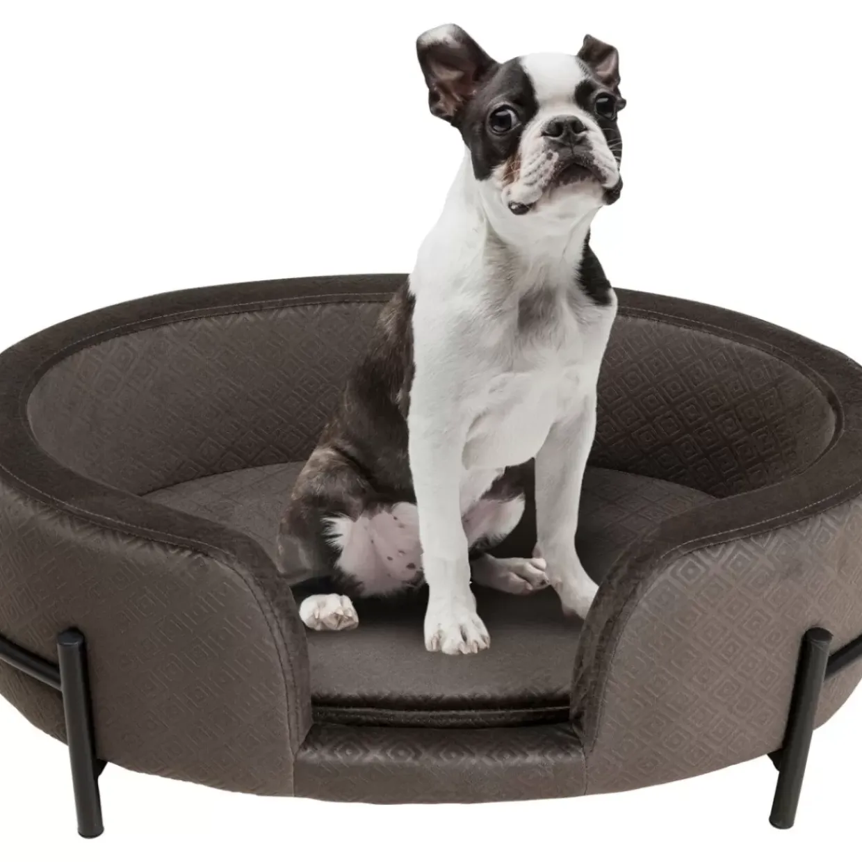 Hund/Katzenbett Dream Day Grau