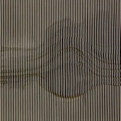 Objektbild Genesis 100X100Cm
