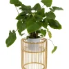 Pflanzenstander Wire Gold 44Cm