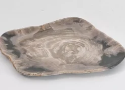 Platte Drakenhart Versteinertes Holz