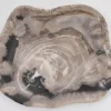 Platte Kristalmeer Versteinertes Holz