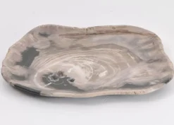 Platte Kristalmeer Versteinertes Holz