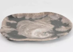 Platte Nachtwoud Versteinertes Holz