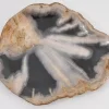 Platte Toverland Versteinertes Holz