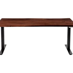 Schreibtisch Office Harmony Dunkel 200X100