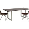 Tisch Harmony Dunkel Silber 180X90