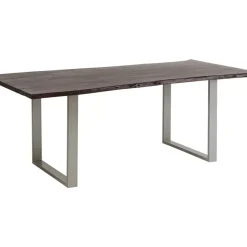 Tisch Harmony Dunkel Silber 200X100