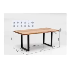 Tisch Harmony Silber 200X100