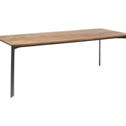 Tisch Phoenix 220X100Cm