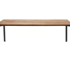 Tisch Phoenix 220X100Cm