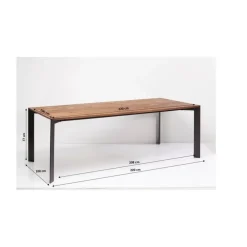 Tisch Phoenix 220X100Cm