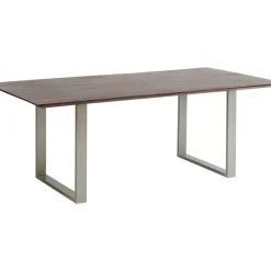 Tisch Symphony Dunkel Silber 200X100