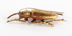 Wandschmuck Longicorn Beetle Gold