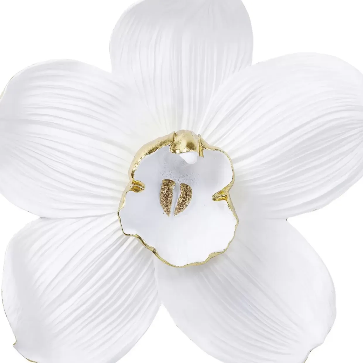 Wandschmuck Orchid Weis 54Cm