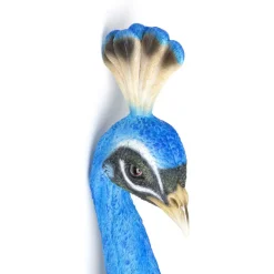 Wandschmuck Peacock